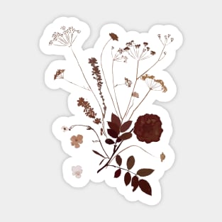 Old flowers in memory Sticker